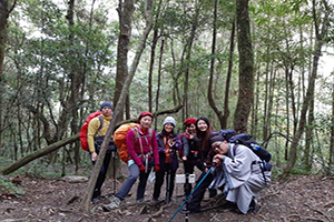 1100117登山社鎮西堡巨木步道